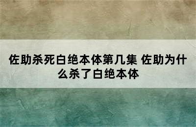 佐助杀死白绝本体第几集 佐助为什么杀了白绝本体